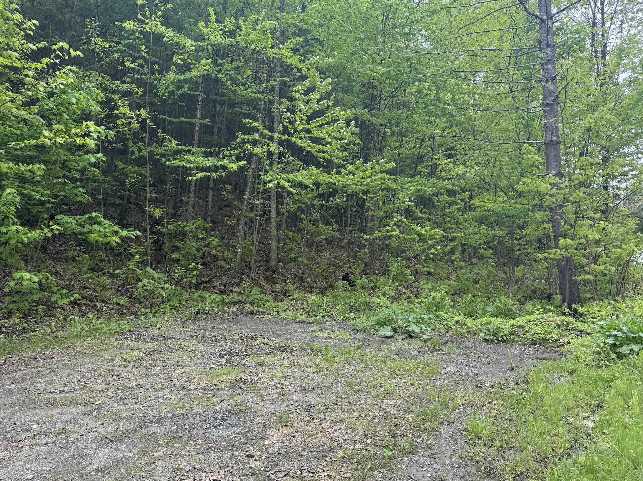 72 Northfield Street, Unit LOT 7 Montpelier, VT 05602 - Photo 2 of 5