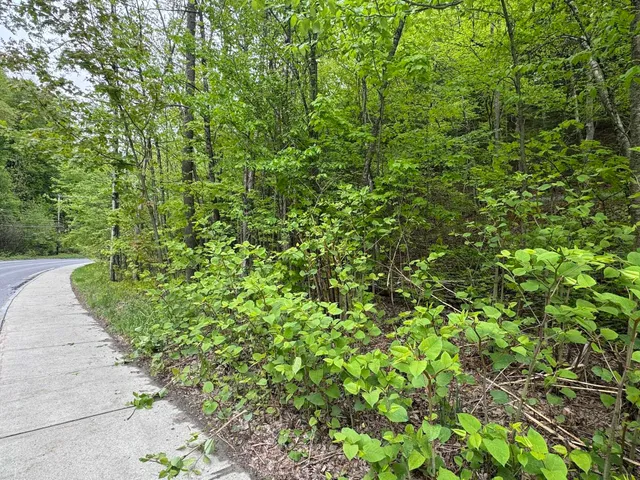 $89,000 | 72 Northfield Street, Unit LOT 7, Montpelier, VT 05602