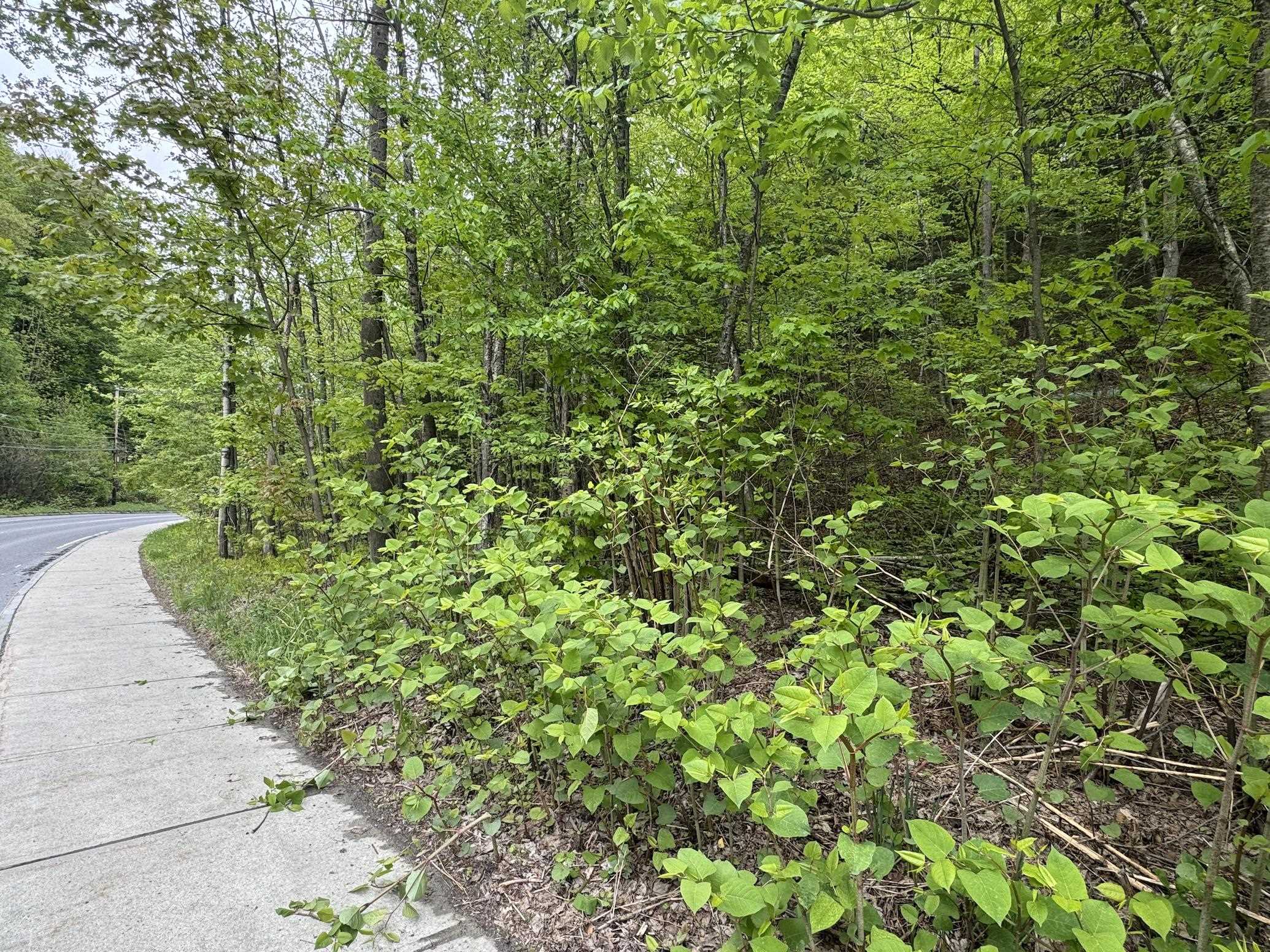 72 Northfield Street, Unit LOT 7 Montpelier, VT 05602 - Photo 3 of 5