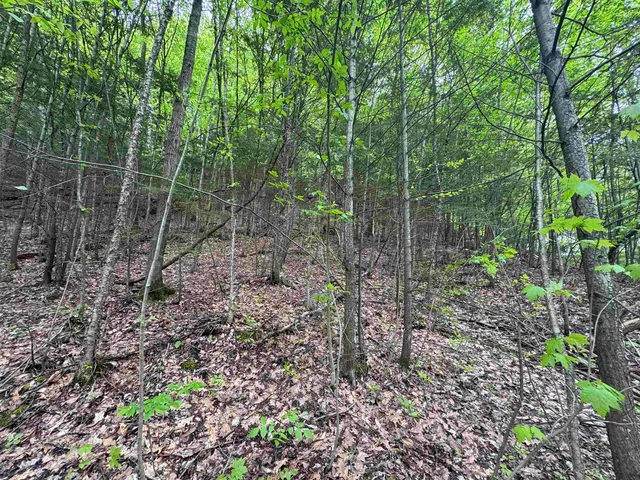 $89,000 | 72 Northfield Street, Unit LOT 7, Montpelier, VT 05602