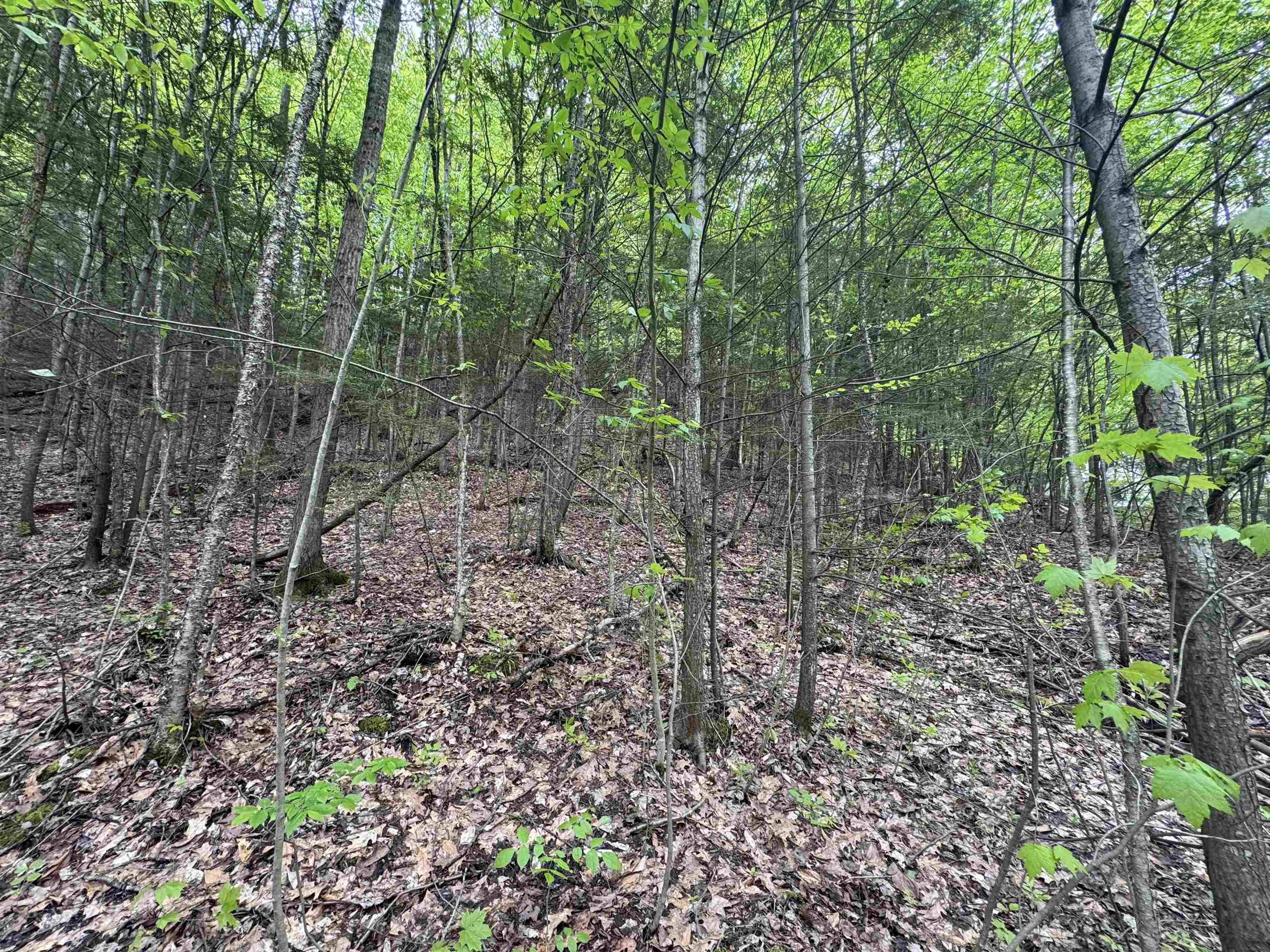 72 Northfield Street, Unit LOT 7 Montpelier, VT 05602 - Photo 4 of 5