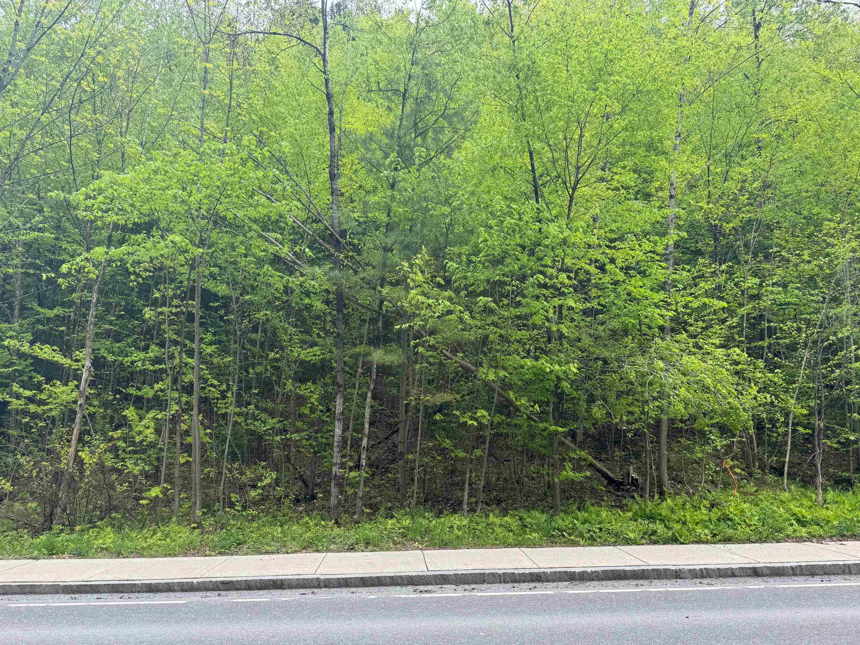 72 Northfield Street, Unit LOT 7 Montpelier, VT 05602 - Photo 5 of 5