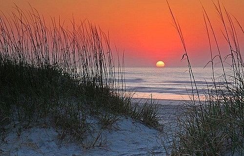 135 Sisson Road Harwich, MA 02646 - Photo 23 of 23