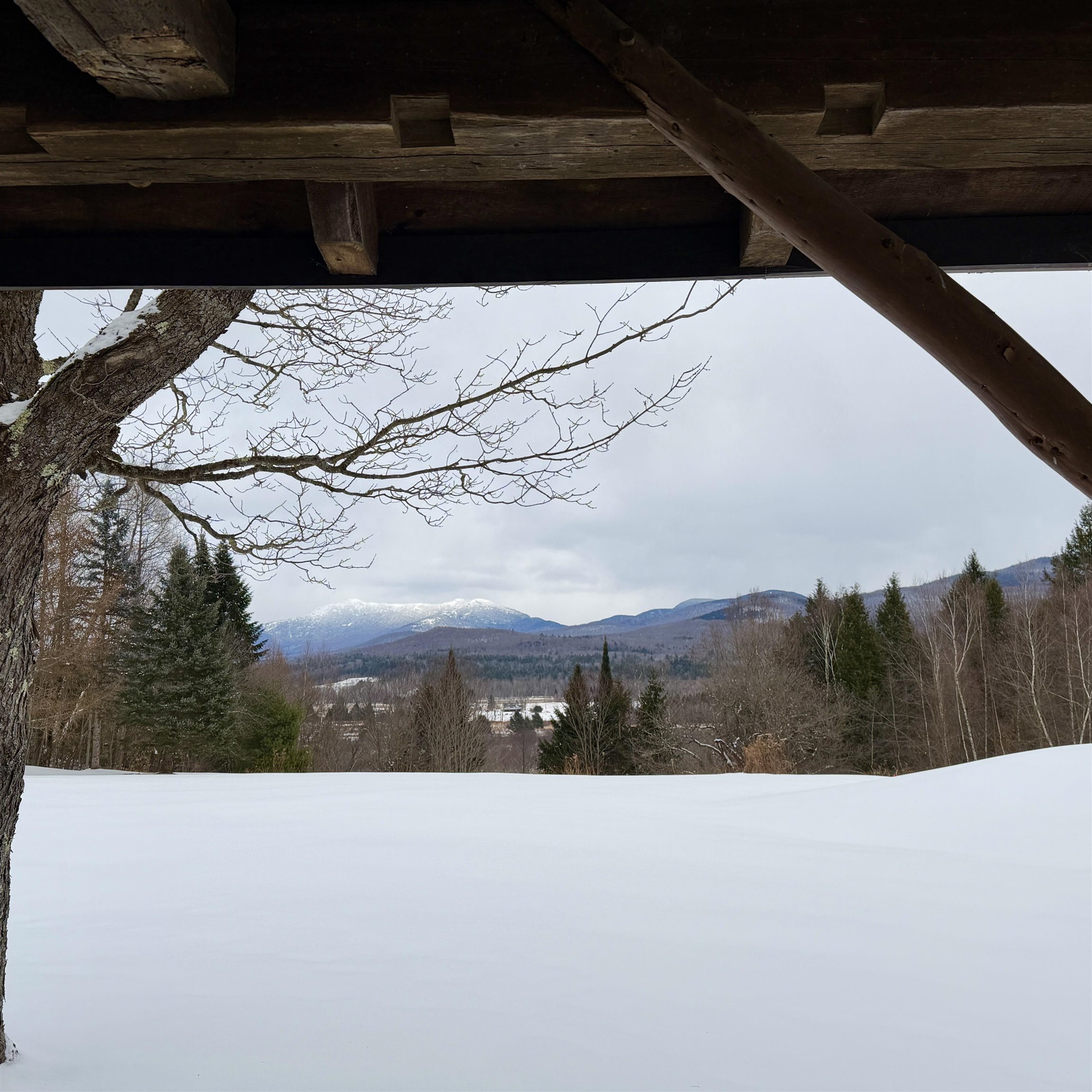 55 Bentley Lane Jericho, VT 05465 - Photo 36 of 60