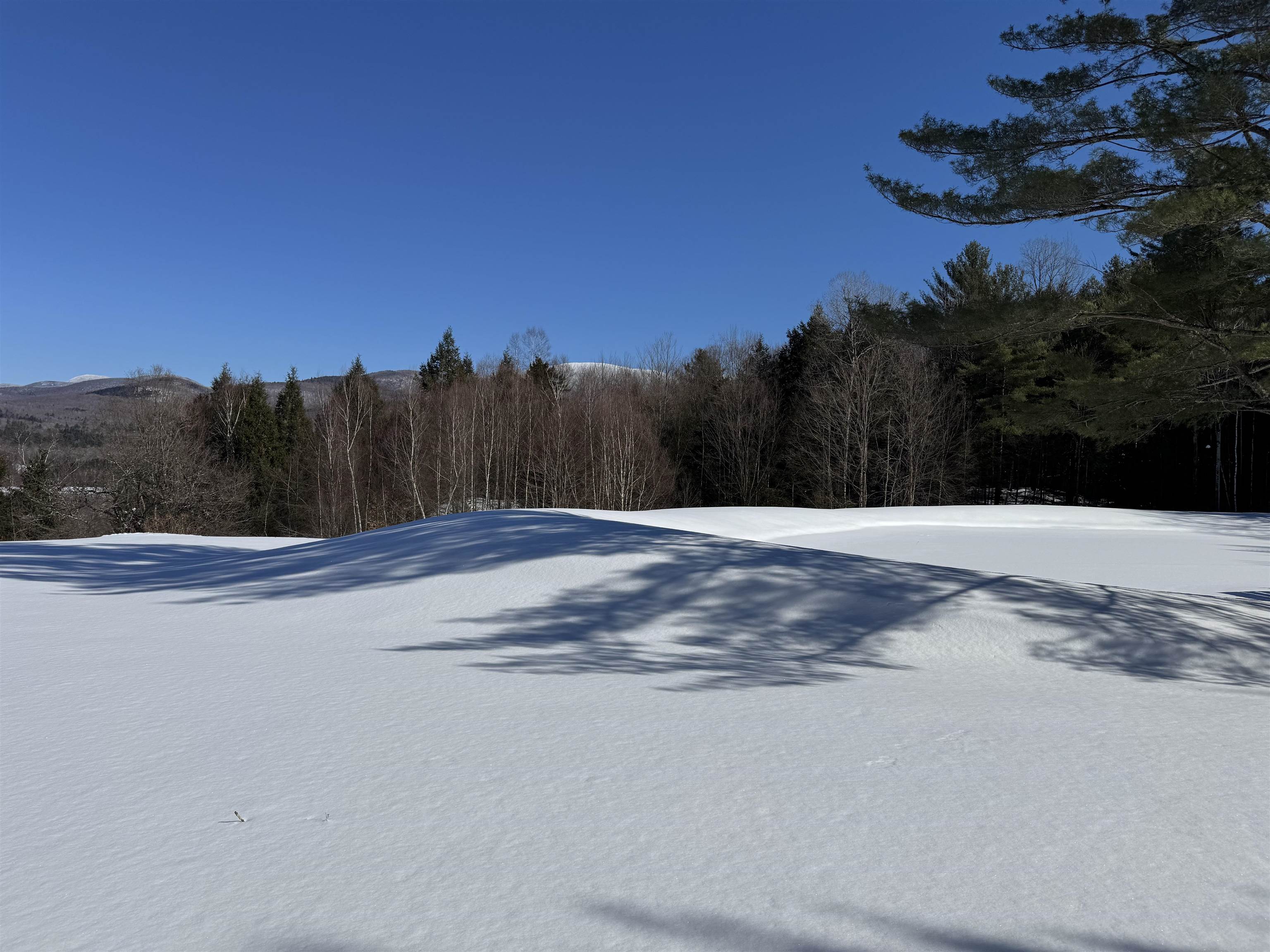 55 Bentley Lane Jericho, VT 05465 - Photo 37 of 60