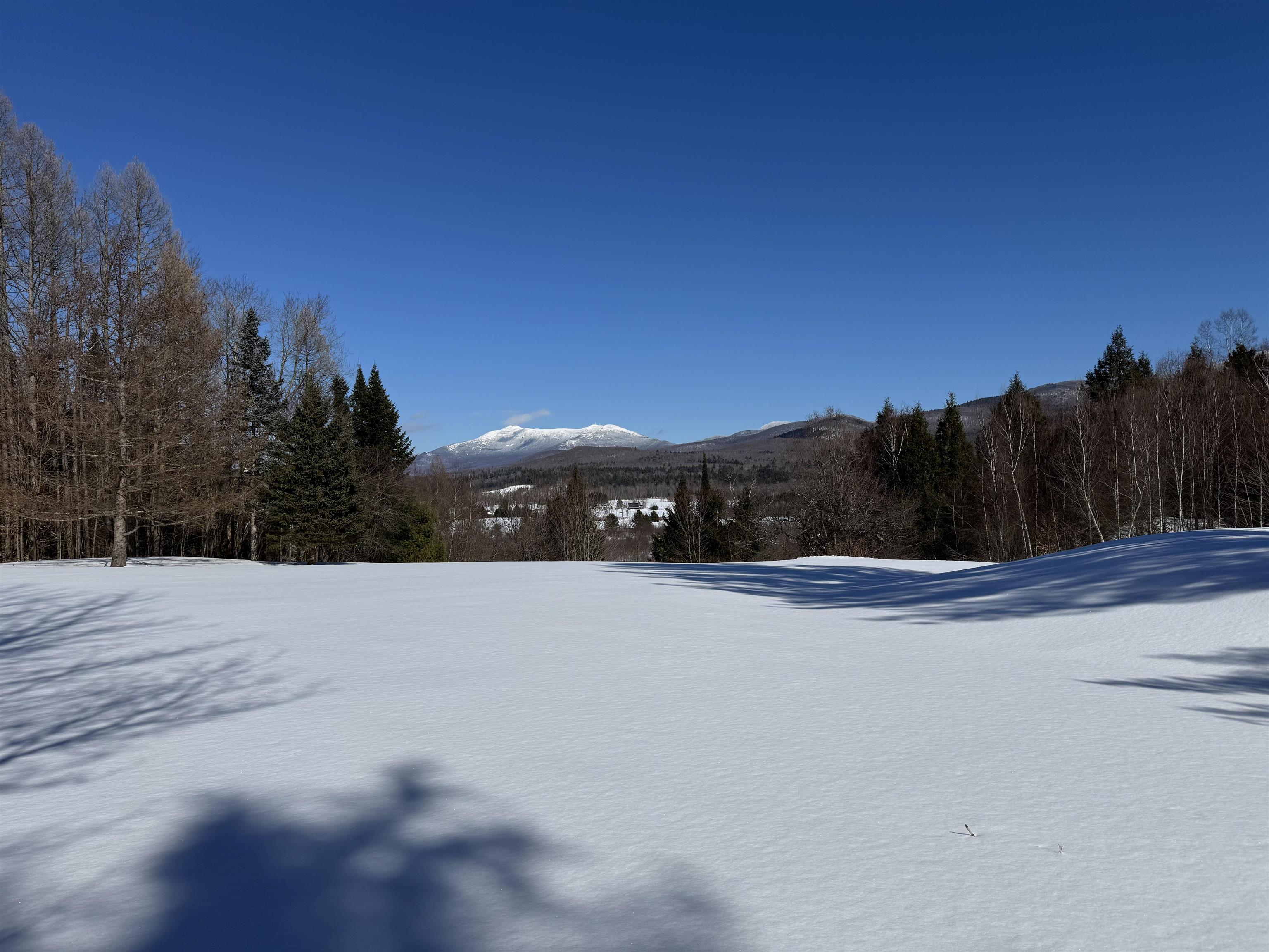 65 Bentley Lane Jericho, VT 05465 - Photo 41 of 60