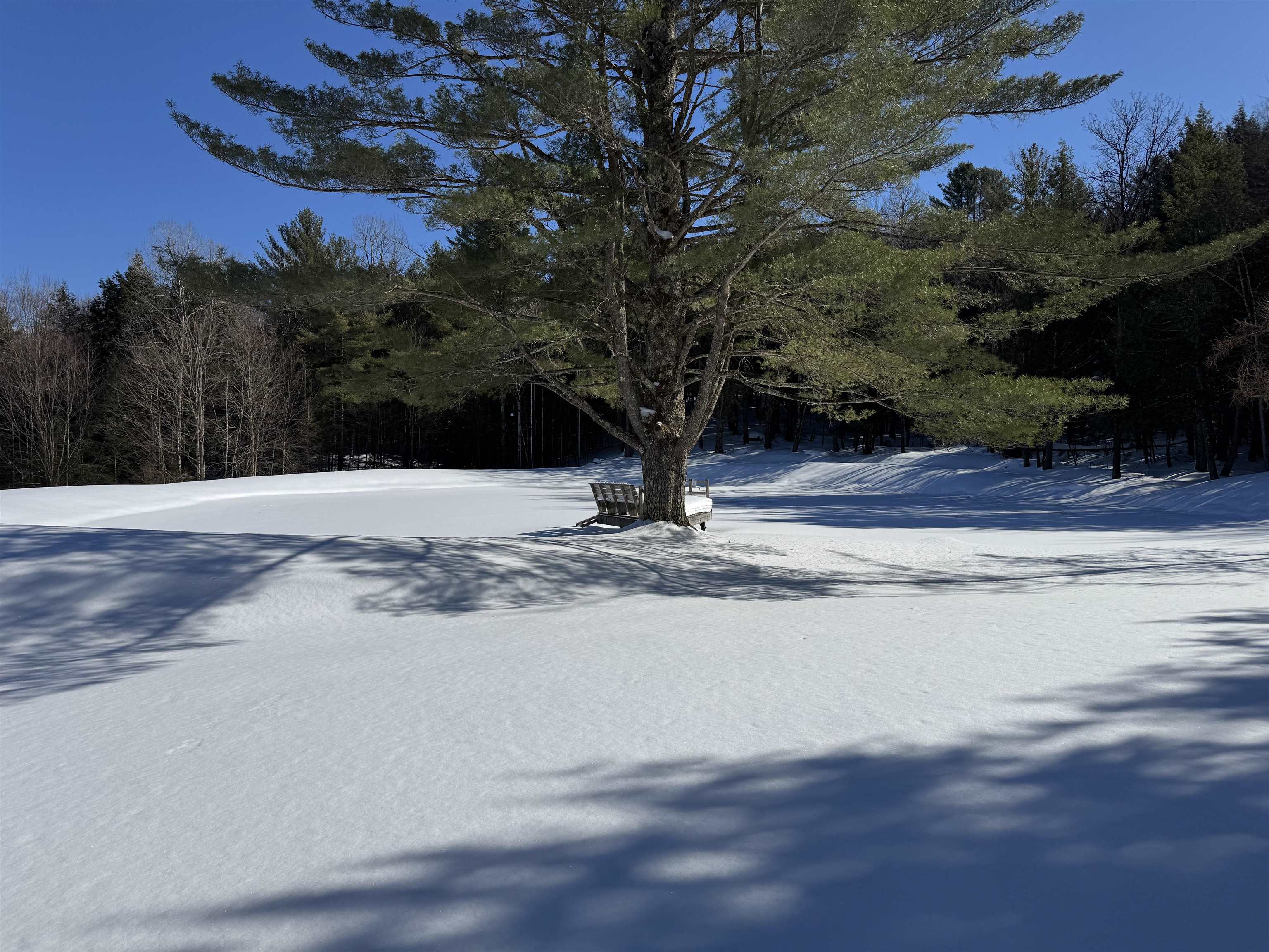 65 Bentley Lane Jericho, VT 05465 - Photo 42 of 60