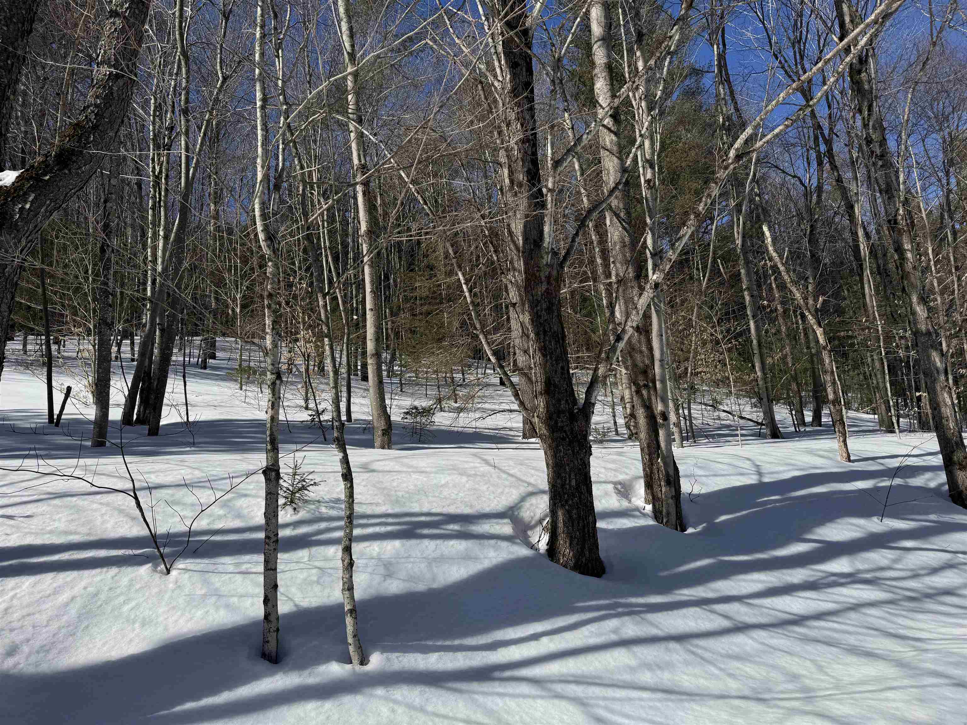 55 Bentley Lane Jericho, VT 05465 - Photo 46 of 60