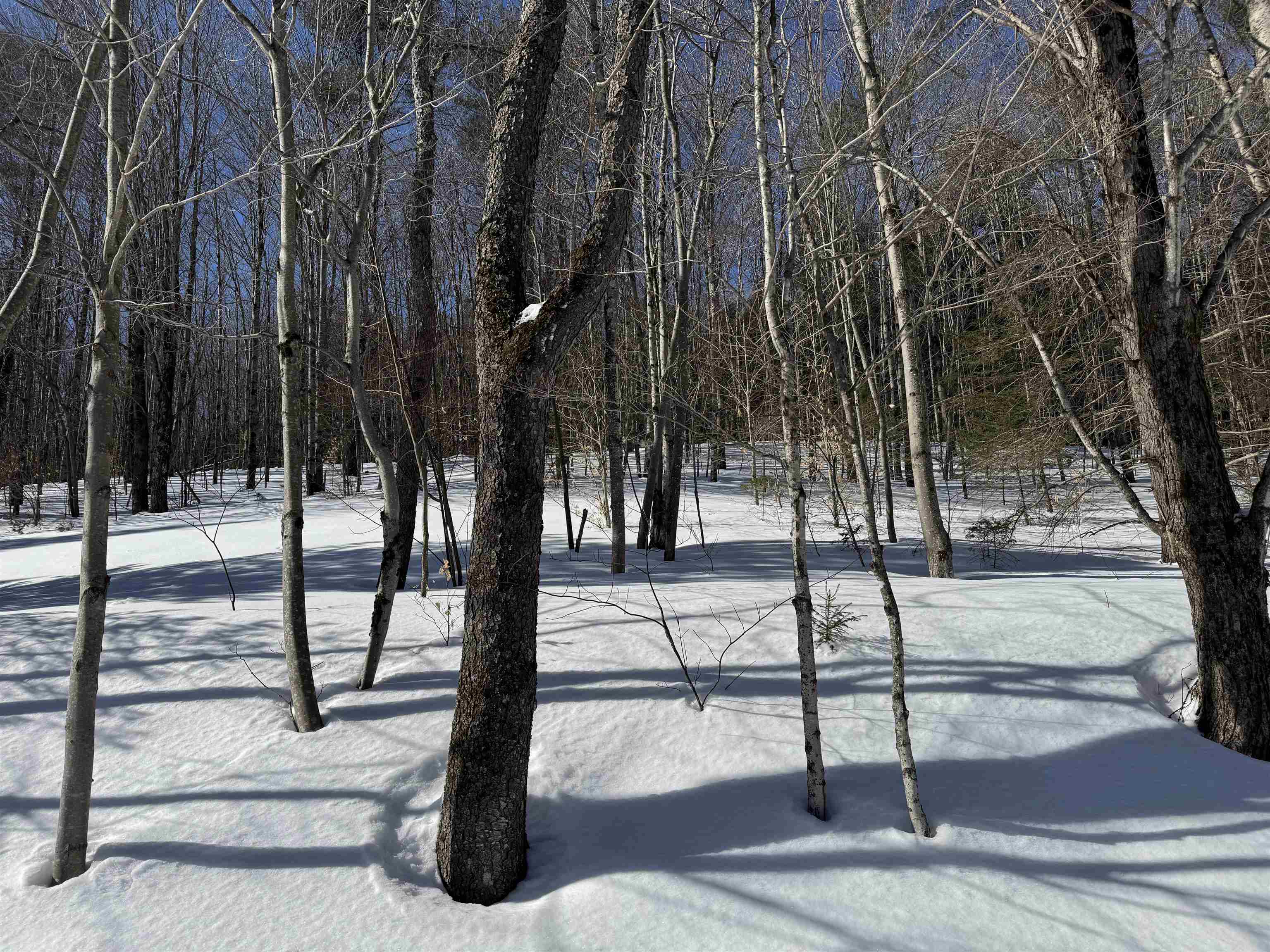 55 Bentley Lane Jericho, VT 05465 - Photo 48 of 60