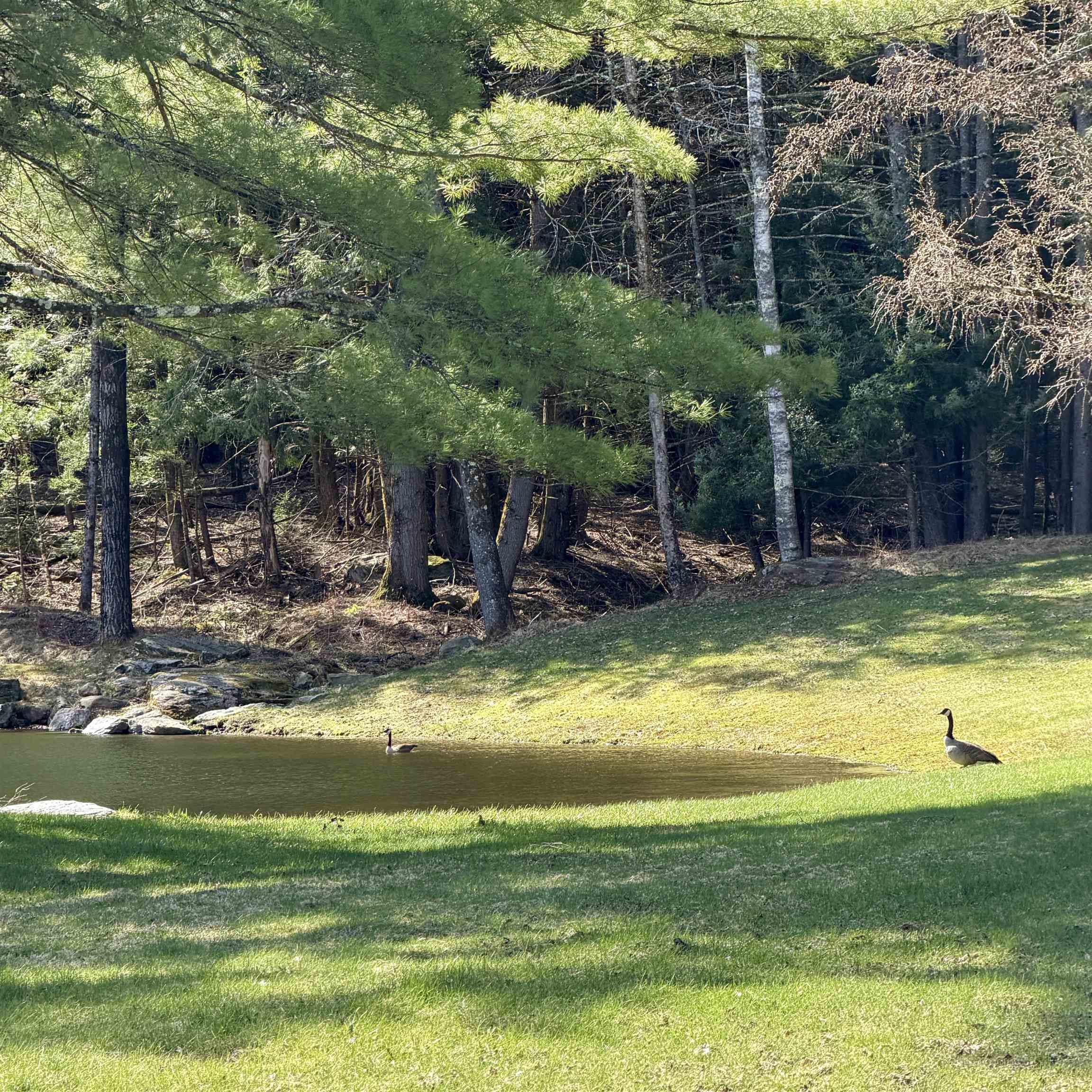 65 Bentley Lane Jericho, VT 05465 - Photo 52 of 60