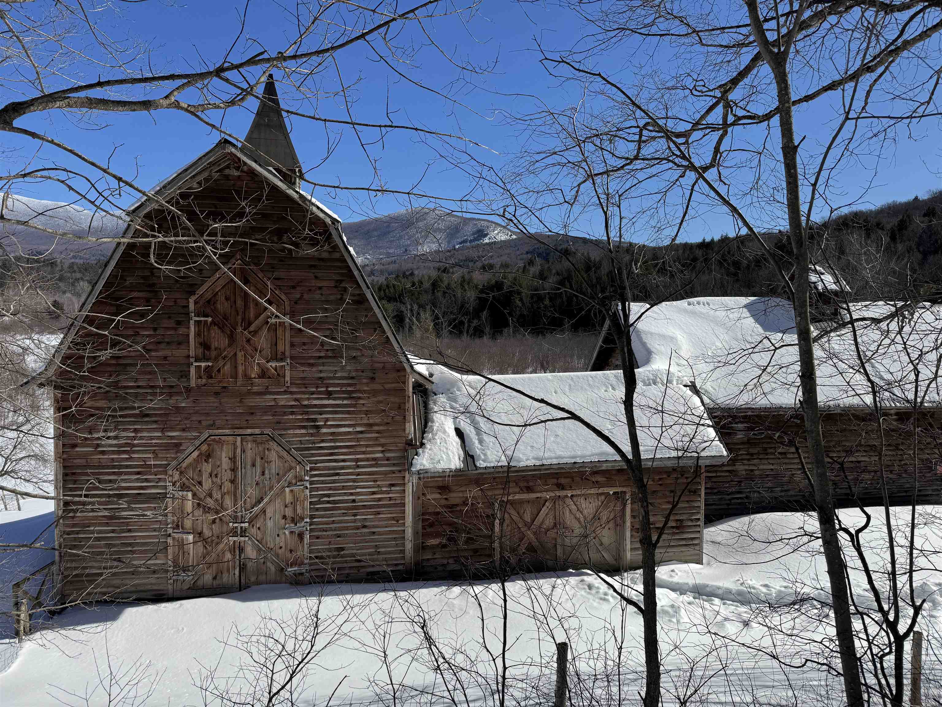 55 Bentley Lane Jericho, VT 05465 - Photo 53 of 60