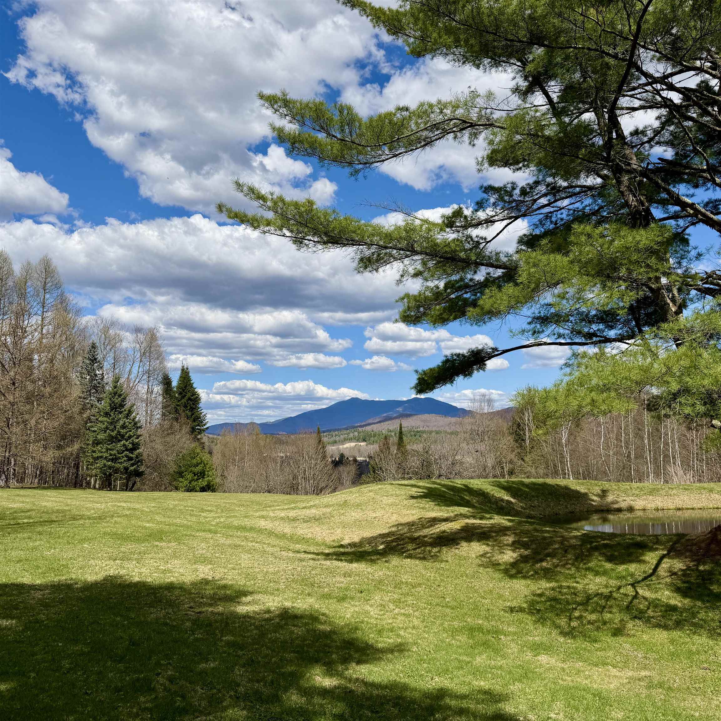 65 Bentley Lane Jericho, VT 05465 - Photo 58 of 60