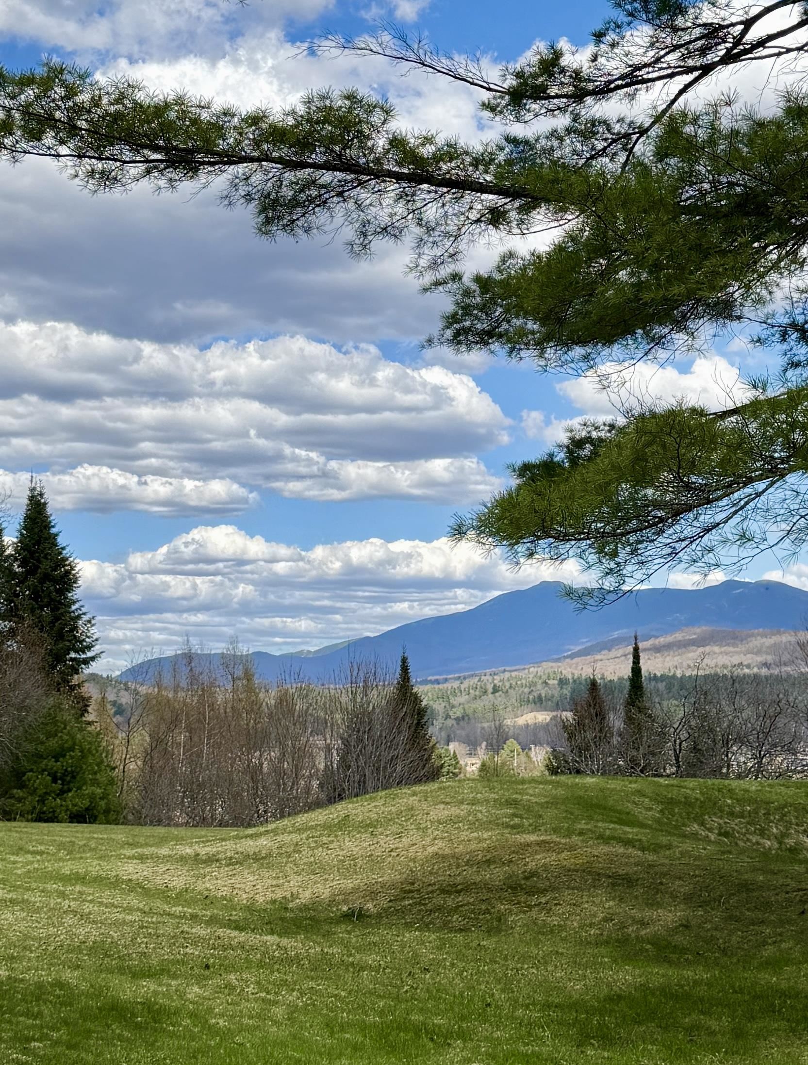 65 Bentley Lane Jericho, VT 05465 - Photo 59 of 60