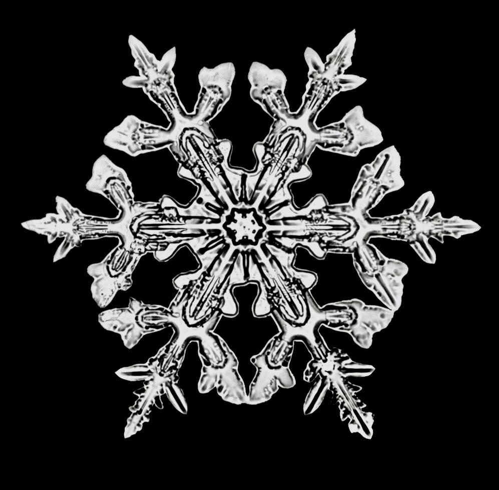 55 Bentley Lane Jericho, VT 05465 - Photo 60 of 60