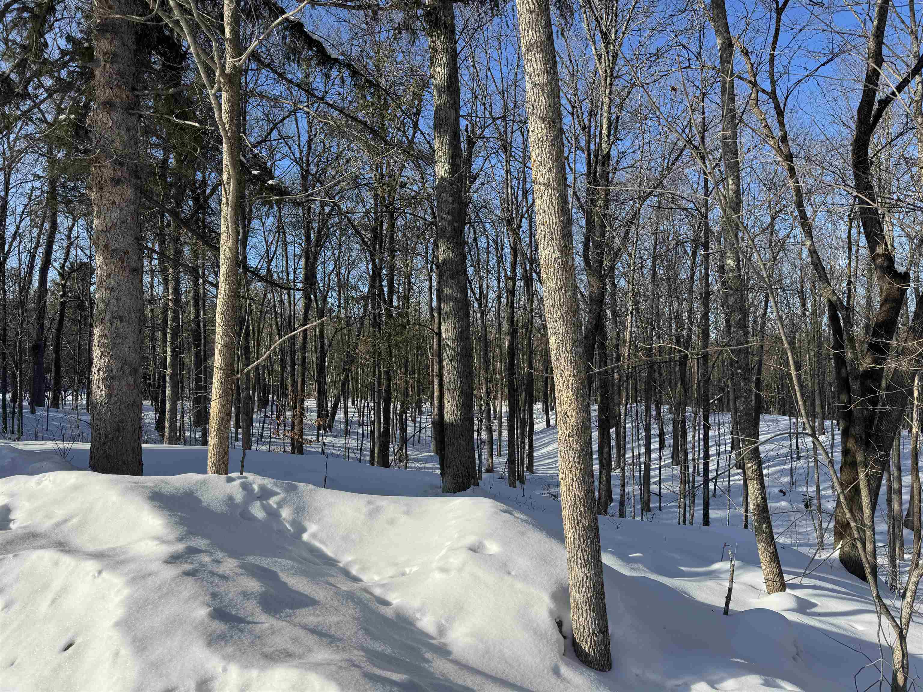 16090 Highway 27 Hayward, WI 54843 - Photo 11 of 35