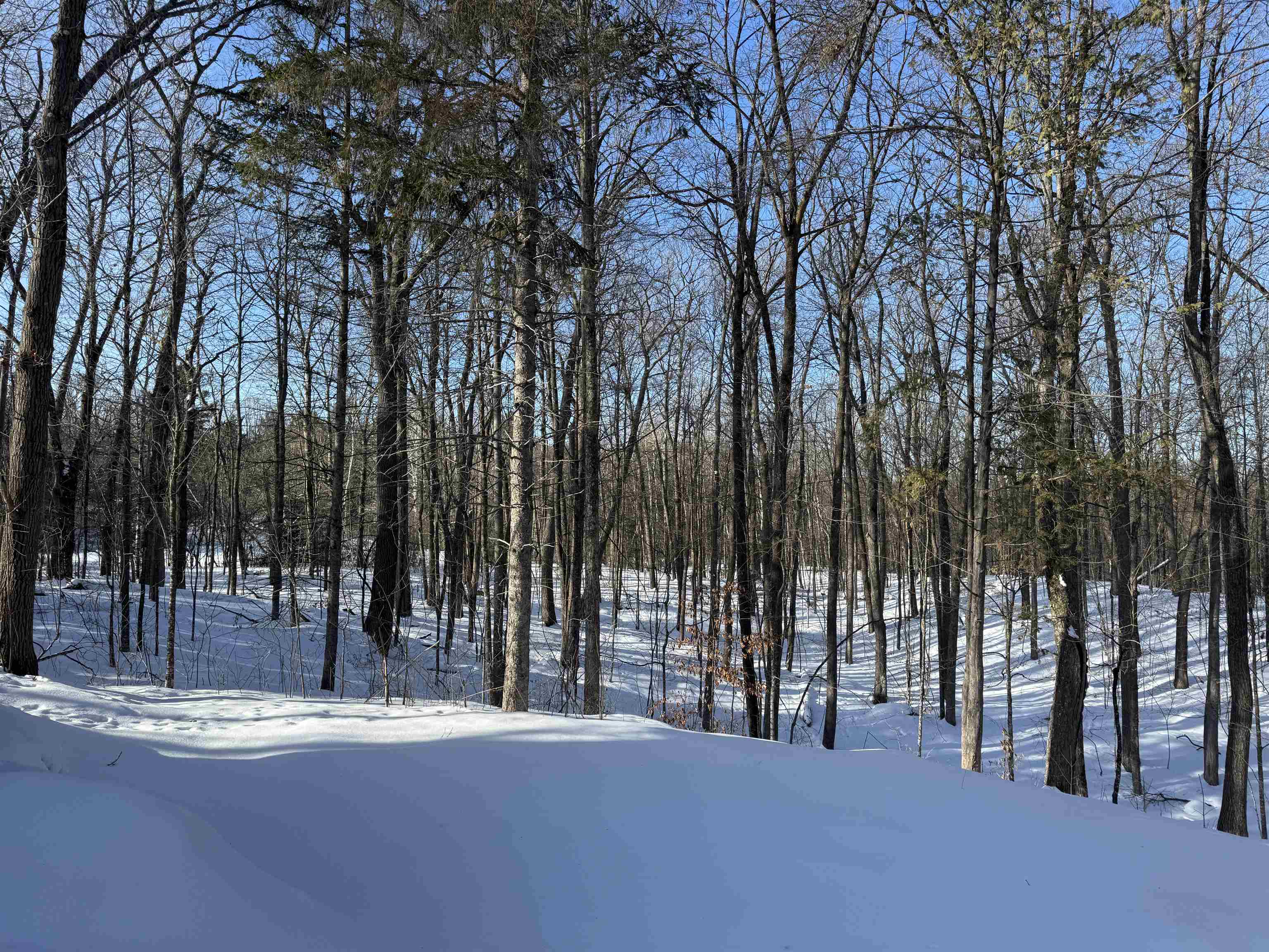 16090 Highway 27 Hayward, WI 54843 - Photo 12 of 35