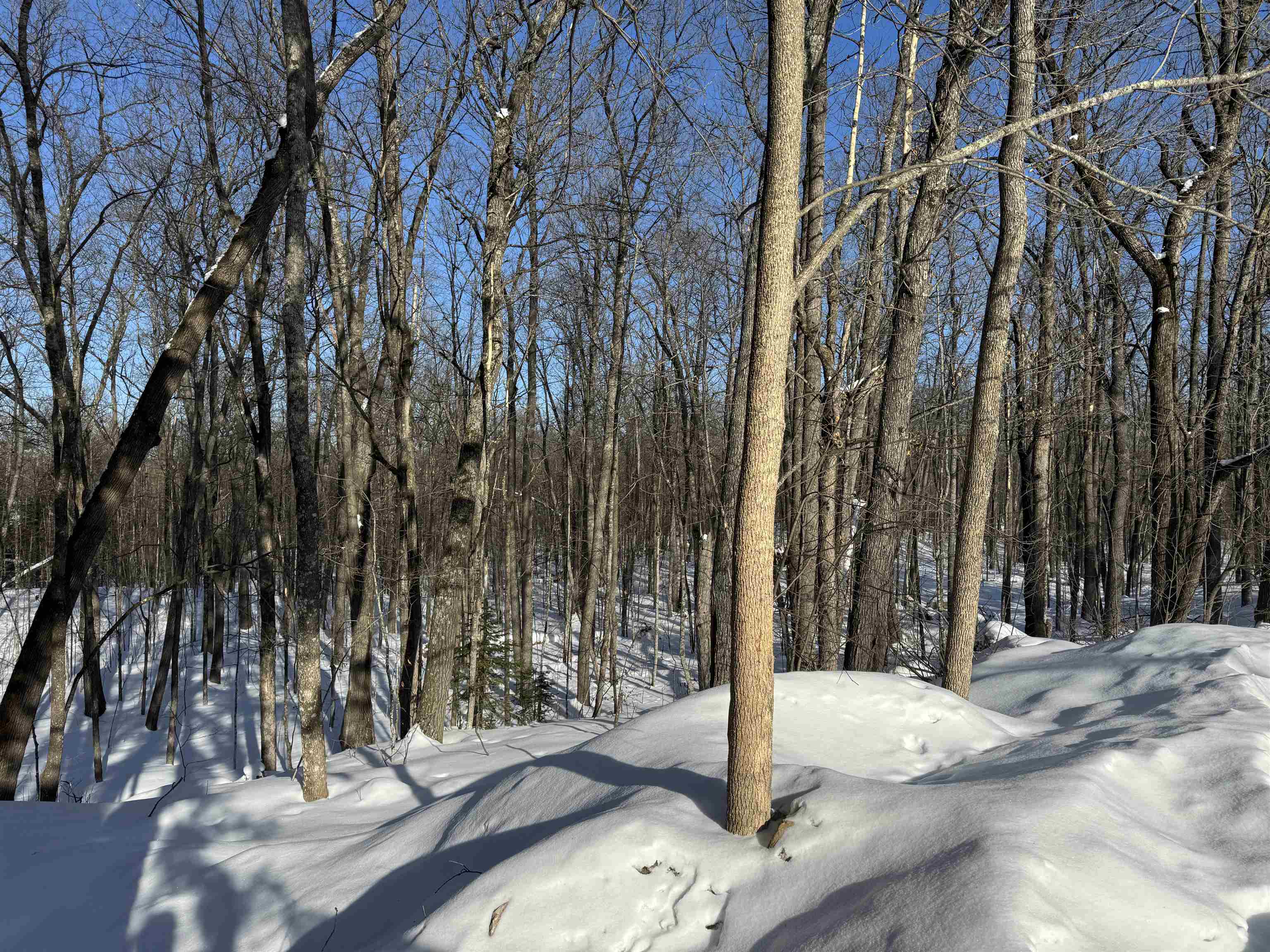 16090 Highway 27 Hayward, WI 54843 - Photo 14 of 35