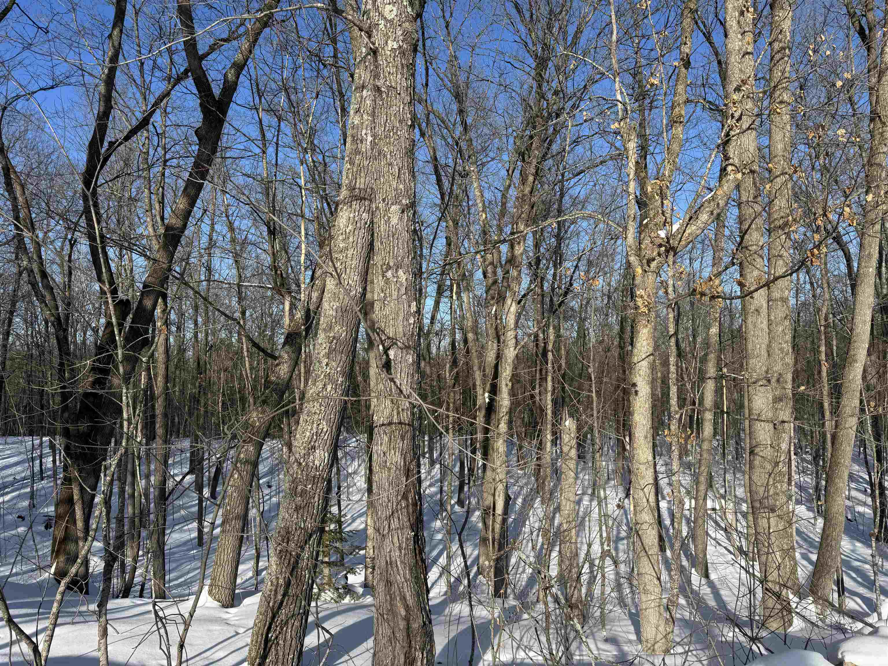 16090 Highway 27 Hayward, WI 54843 - Photo 9 of 35