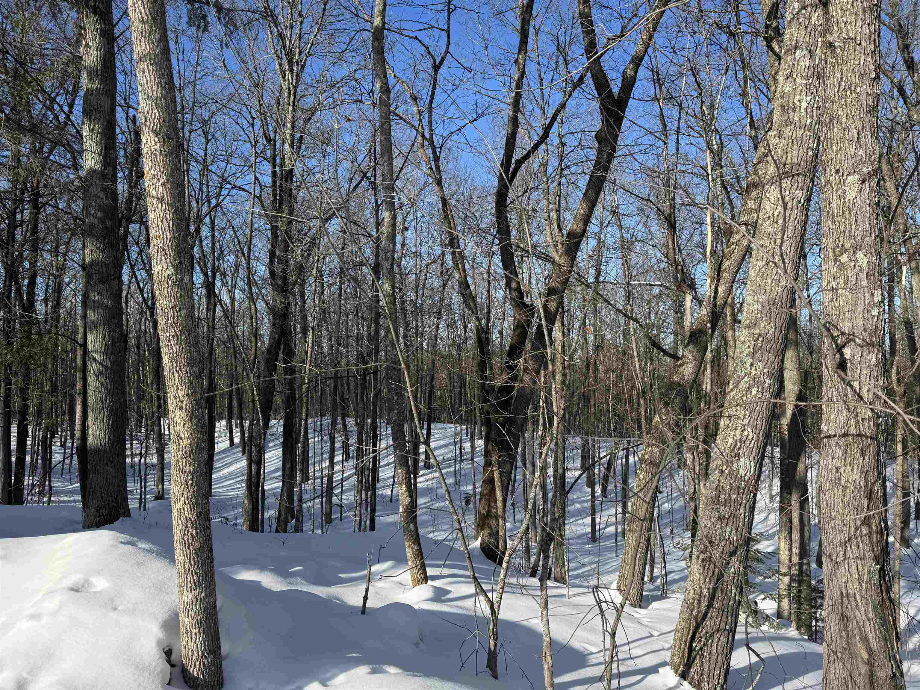 16090 Highway 27 Hayward, WI 54843 - Photo 10 of 35