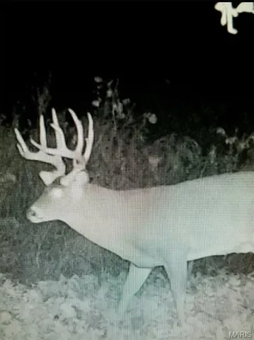 $285,000 | 7003 River Road, Iuka, IL 62849