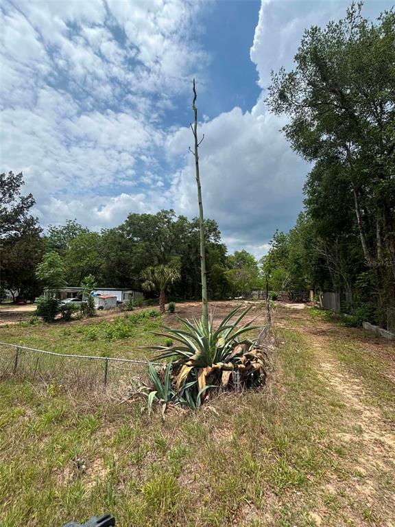 7480 Lakeview Street Keystone Heights, FL 32656 - Photo 4 of 7