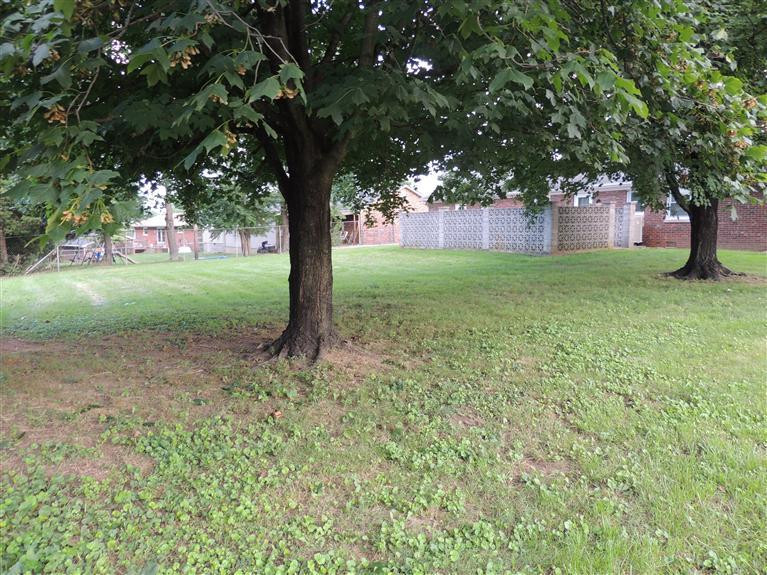 217 Aztec Trail Georgetown, KY 40324 - Photo 7 of 8 Photo 7