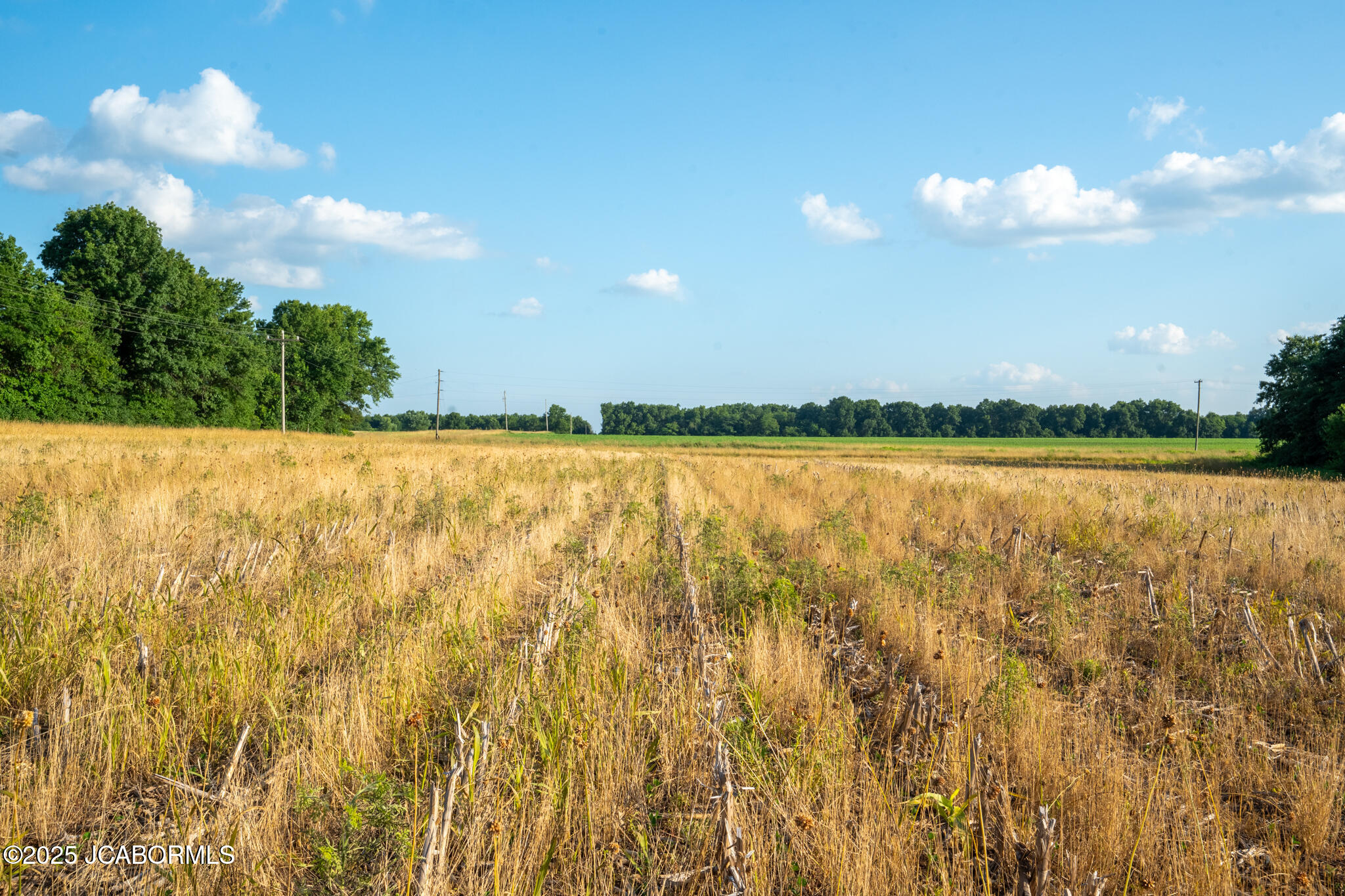 0 Audrain County Road Mexico, MO 65265 - Photo 6 of 12