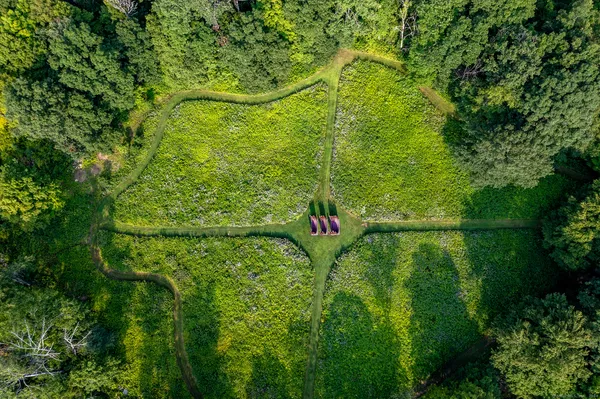 a view of a yard