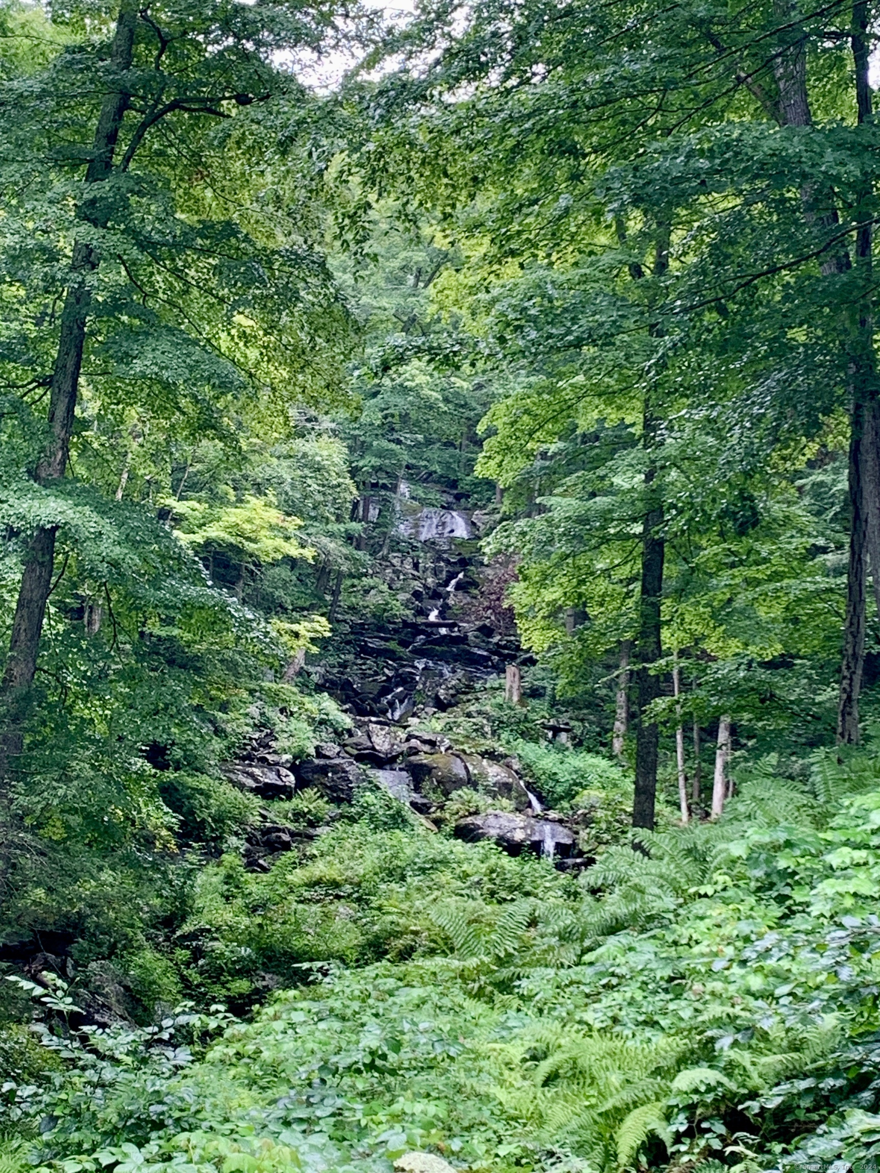 23 Mauwee Brook Road Kent, CT 06757 - Photo 3 of 40 a view of a lush green forest