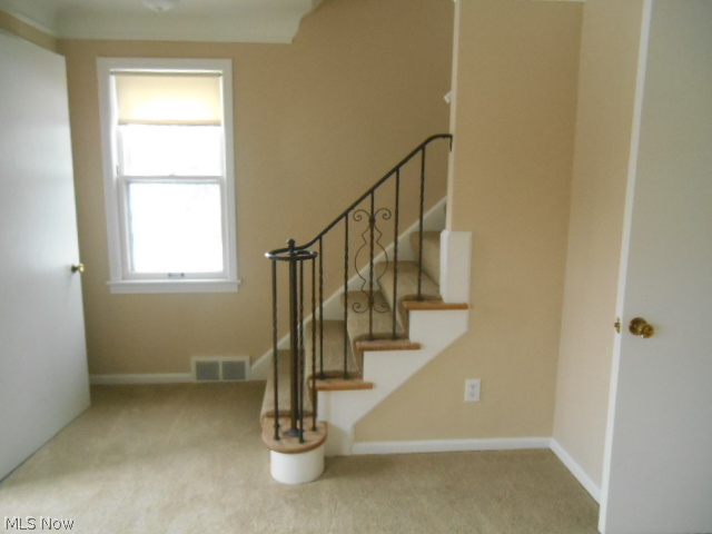 1779 South Green Road Cleveland, OH 44121 - Photo 7 of 22