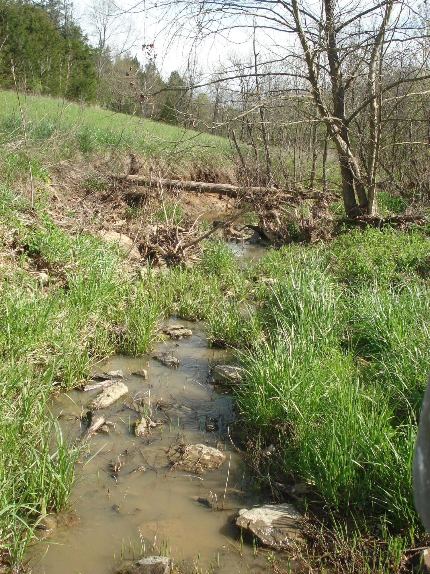 9999 Shawhan Road Berry, KY 41003 - Photo 7 of 9 DSC01173