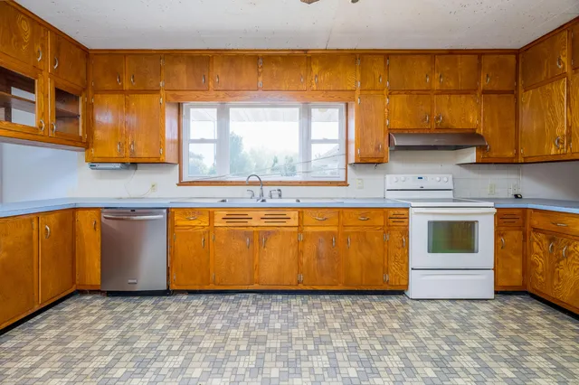 a view of a yard with plants and large trees