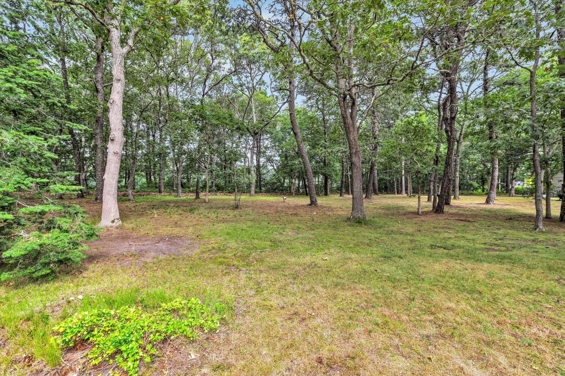 31 John Joseph Road Harwich, MA 02645 - Photo 60 of 75 013-IMGP3942