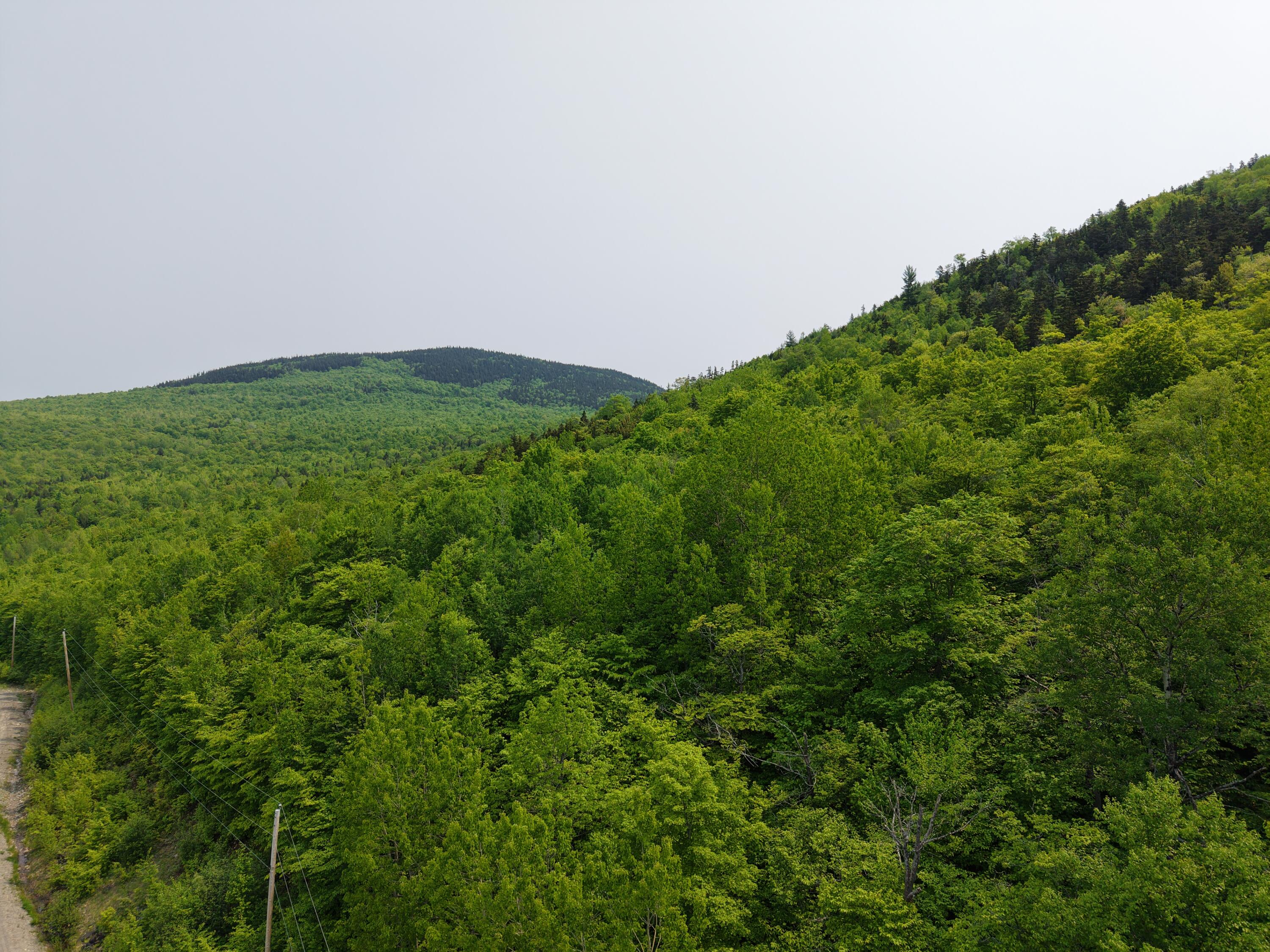 2-3 Ira Mountain Road Kingfield, ME 04947 - Photo 21 of 22 DJI_20250604105807_0012_D