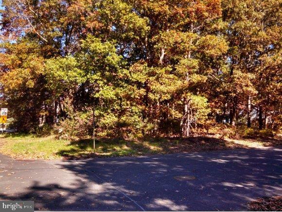 229 Clipper Road Manahawkin, NJ 08050 - Photo 1 of 11