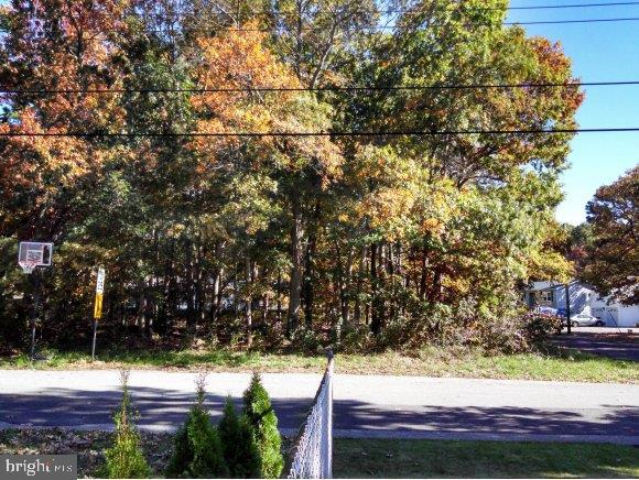 229 Clipper Road Manahawkin, NJ 08050 - Photo 4 of 11
