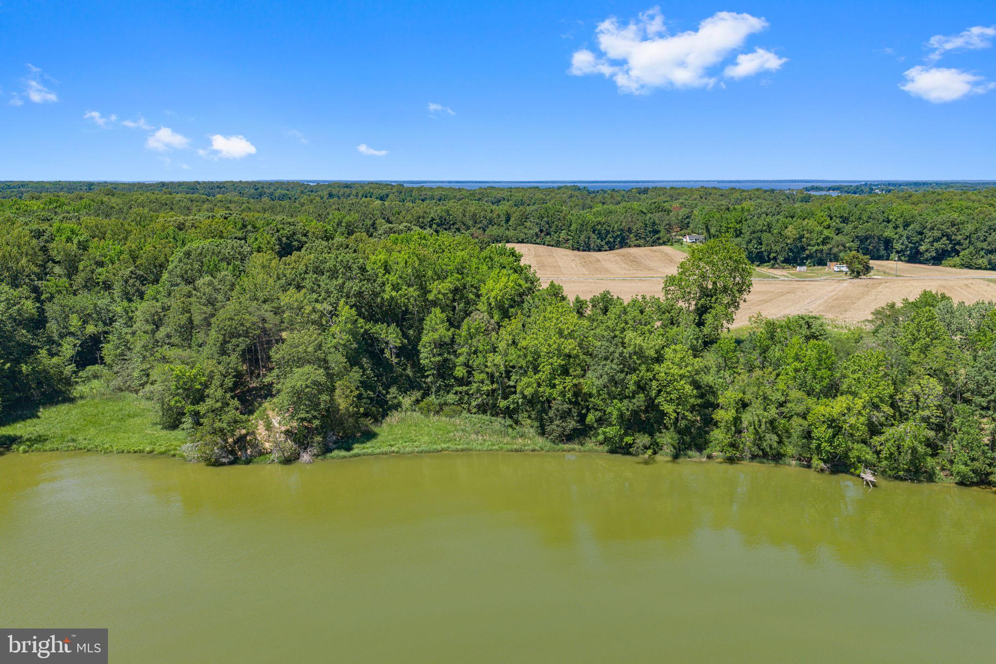 Lot 1 Zacata Road Montross, VA 22520 - Photo 8 of 15