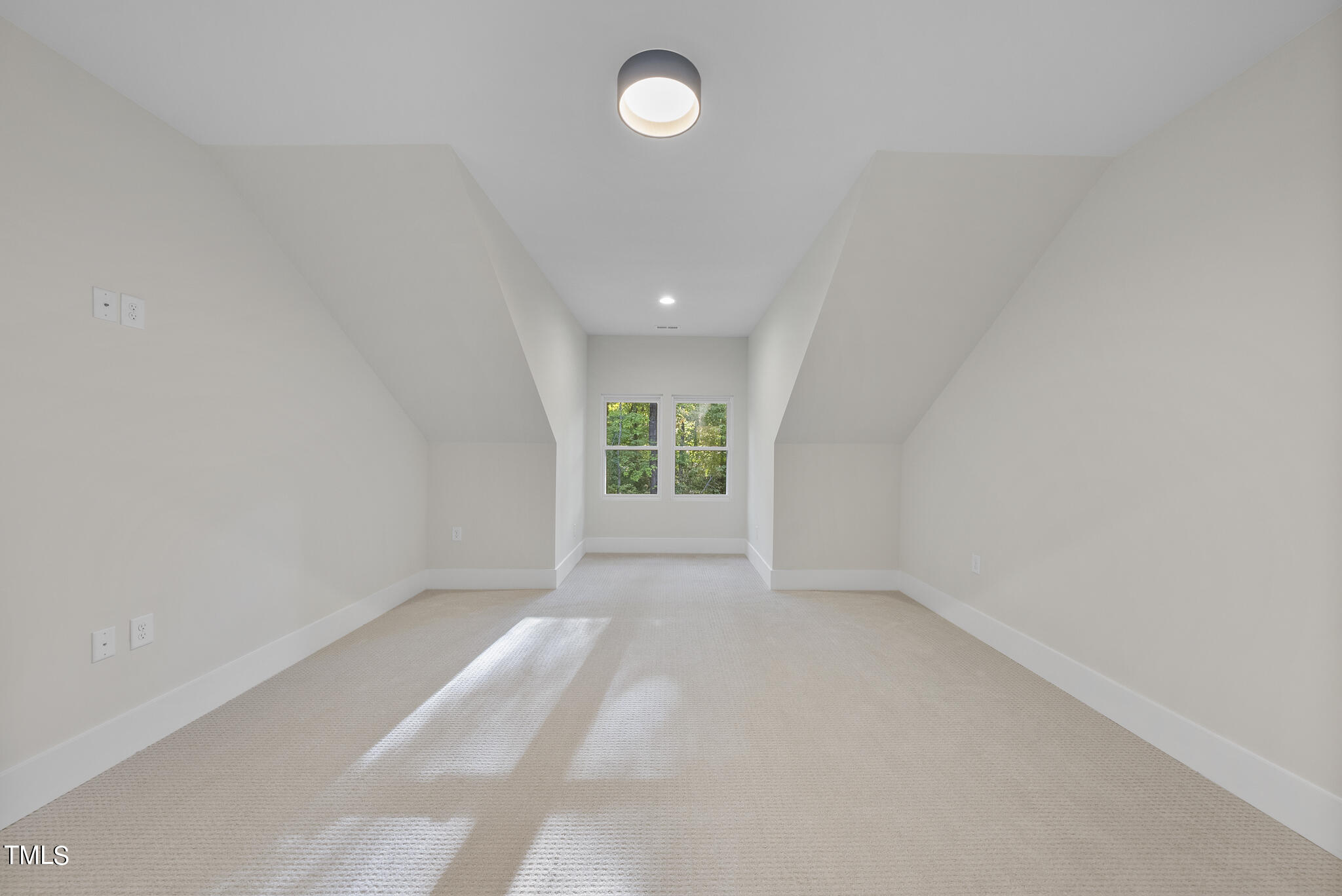 7163 Mary Hall Road Rougemont, NC 27572 - Photo 52 of 55 DSC06989