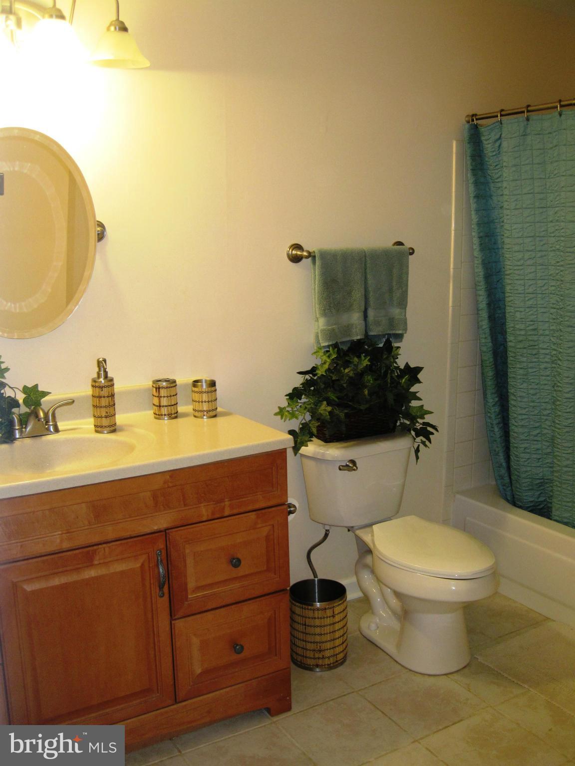 1072 Spring Valley Court Fort Washington, MD 20744 - Photo 5 of 7 a bathroom with a toilet a sink and mirror