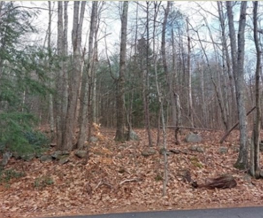 24 Old County Road Winchendon, MA 01475 - Photo 1 of 5 a view of a yard with trees
