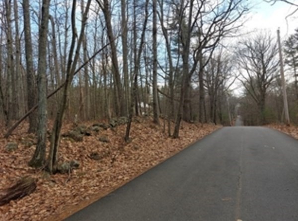 24 Old County Road Winchendon, MA 01475 - Photo 2 of 5 a view of a forest filled with trees