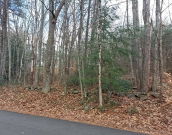 24 Old County Road Winchendon, MA 01475 - Photo 3 of 5 a view of a forest with trees in the background