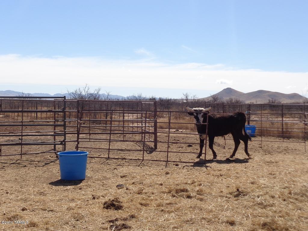 13470 South Morgan Road Pearce, AZ 85625 - Photo 33 of 40 Gallery Image 33