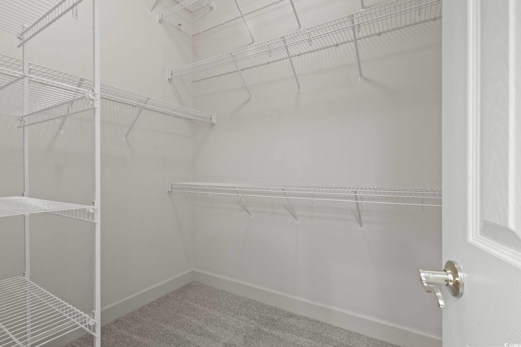 853 Bluffview Drive Myrtle Beach, SC 29579 - Photo 20 of 40 Walk in closet featuring carpet flooring