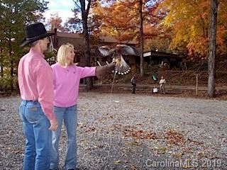15 East Spark Chaser Road Sylva, NC 28779 - Photo 14 of 30 Gallery Image 14