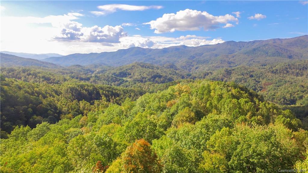 15 East Spark Chaser Road Sylva, NC 28779 - Photo 4 of 30 Gallery Image 4