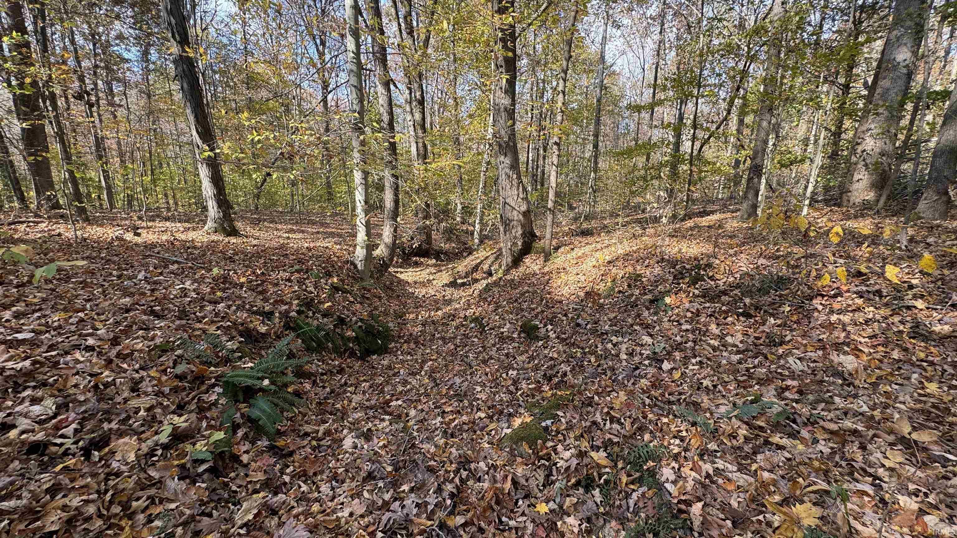 150 West S County Road Paoli, IN 47454 - Photo 16 of 29 Gallery Image 16