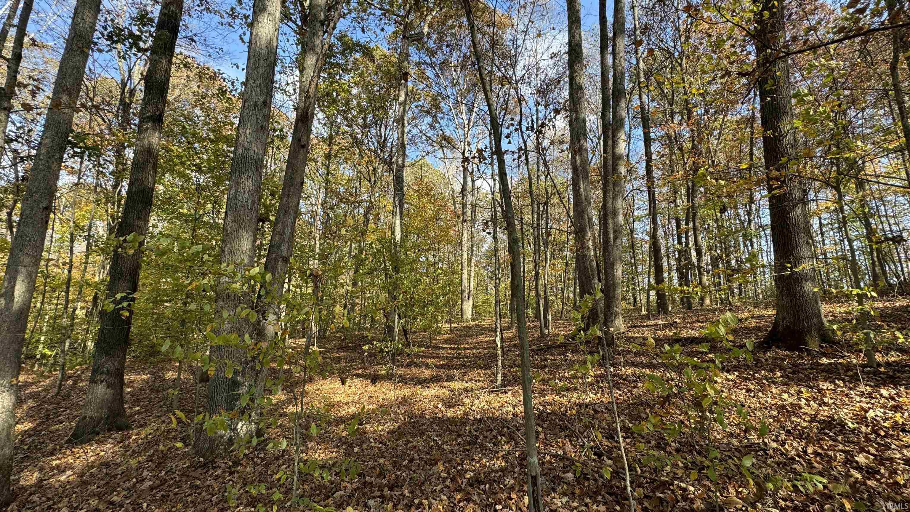 150 West S County Road Paoli, IN 47454 - Photo 20 of 29 Gallery Image 20
