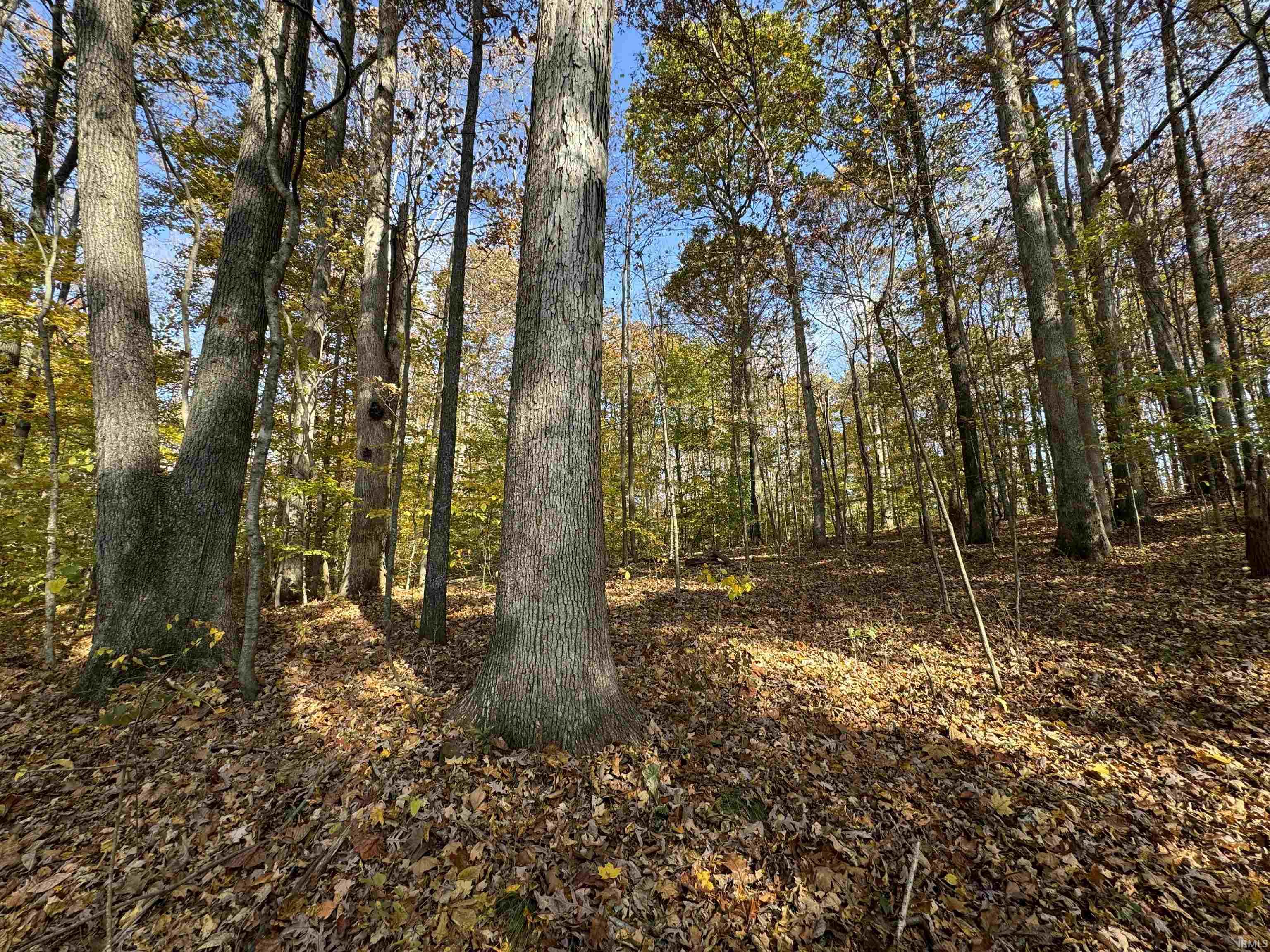 150 West S County Road Paoli, IN 47454 - Photo 28 of 29 Gallery Image 28