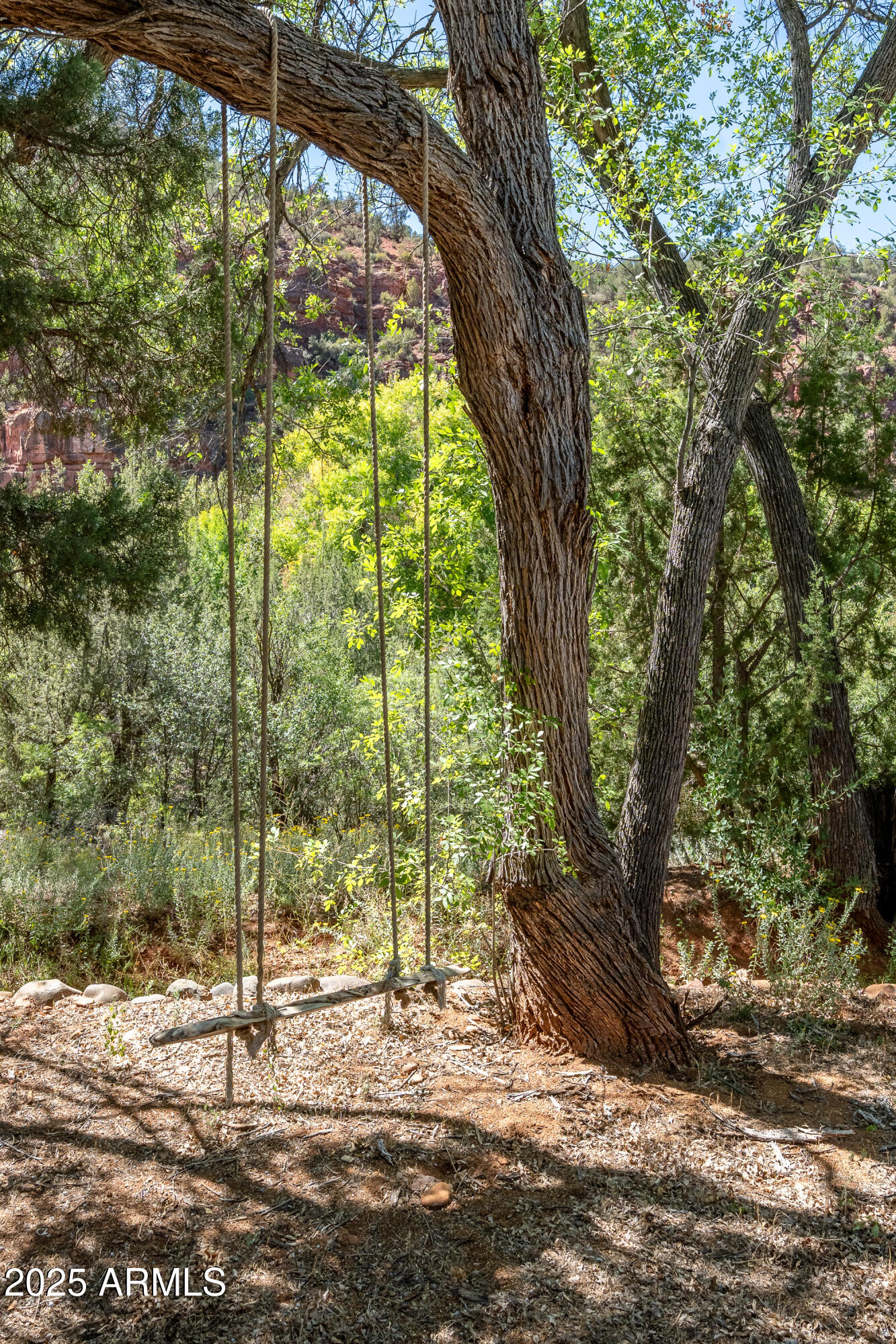 330 Eagle Mountain Ranch Road Sedona, AZ 86336 - Photo 85 of 87 a view of a trees in a yard